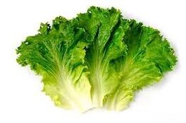 frunze de salata verde