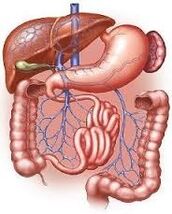 tractului gastrointestinal